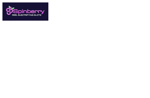 Logo Spinberry