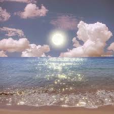 Ảnh đại diện người dùng Phạm Anh Thư